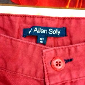 Allen Solly Branded Boys Pant