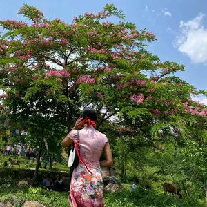 Pink Cheongsam🎀