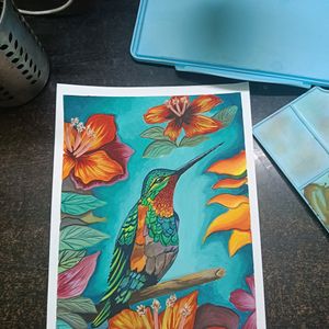 Hummingbird Painting On A4 Sheet