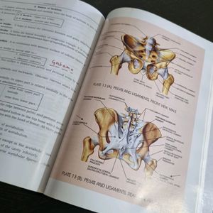 Handbook Of Osteology S Poddar