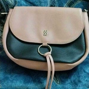 Beautiful Baggit(gg) Handbag