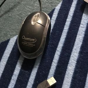 Quantum Mouse