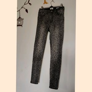 Imported Animal Print pant