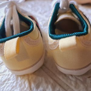 Kids Shoe | Casual Shoes | 3 - 6 Month