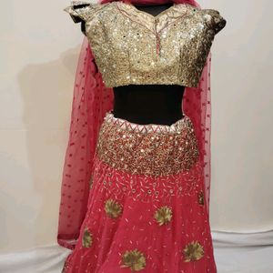 Pink Colour Mirror Worked Lehenga