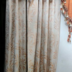 Curtains- Pack Of 4