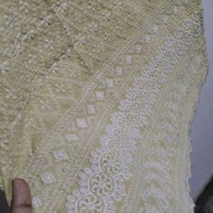 Chikenkari Embroidery Kurti