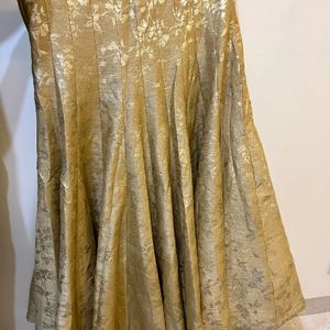 Golden Skirt Free Size