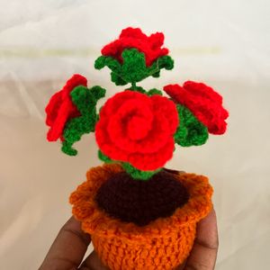 Roses Pot