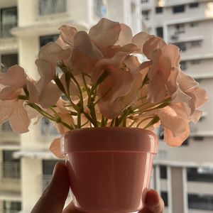 Beautiful Pink Flower Pot