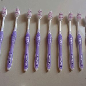 Toothbrush Pack Of 10