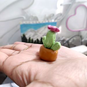 Mini Cactus Plant