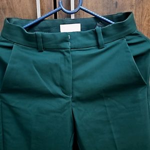 Green Straight Fit Pant