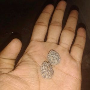 Original Kedarnath Rudraksha Beads