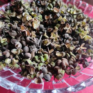 Sichuan Peppercorns /Zanthoxylum - Prickly ash