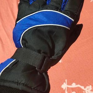 Gloves with Inner