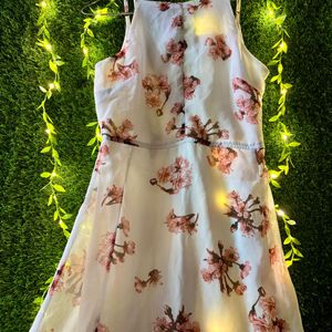 Women Maxi White, Pink Dress