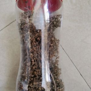 A Box Full Of Tulsi Seeds