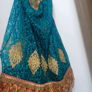 Beautiful Multi Coloured Lehenga