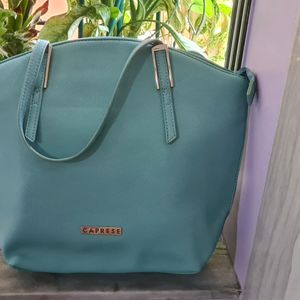 Caprese Powder Blue Shoulder Bag