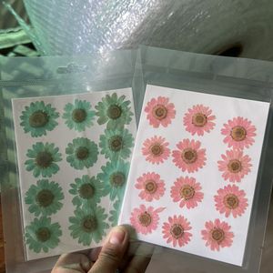 Pressed Daisy Sheets (new)