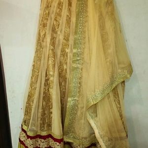 Lehenga With Dupatta Without Choli