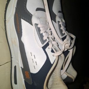 DGB Shoe