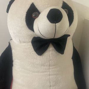 A Large Size Brand New Panda, 3.5 Feet/42 Inches