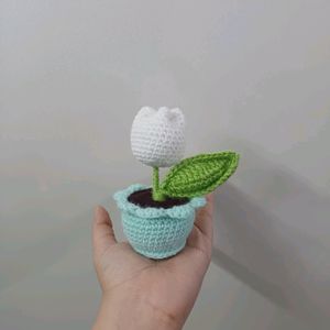 Cute Crochet Mini Flower Pot🌷