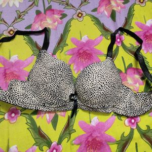 Combo Pushup Bra