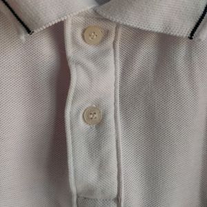 U.S Polo Collar Tshirt