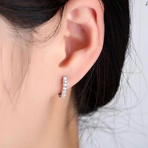 Silver Ear Rings