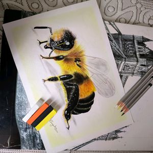 Honey Bee 🐝 Painting