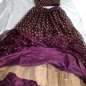 Gorgeous Lehenga Choli