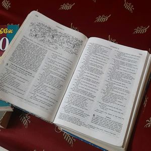 Free Bibles And  Book