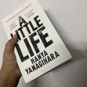 A Little Life Book