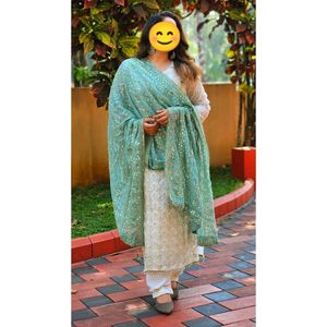 Heavy Embroidery Pakastani Suit(Mint Green Colour)