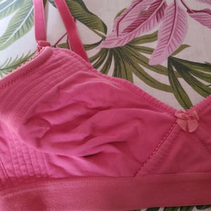 36B Bras