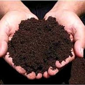 1 Kg Vermi Compost