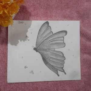 Beautiful Butterfly Drawing