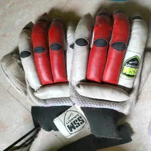 Cricket  Gloves, Pads, Helmet