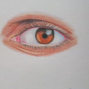 Colour Pencil Drawing