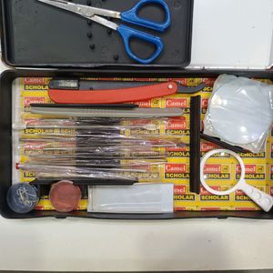 Camel Dissection Box