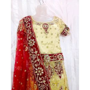 Bridal Zarodzi Work Lehenga Choli