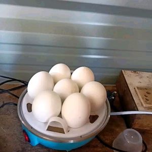 Egg Boiler Cooker