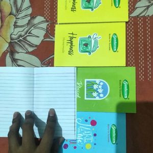 5 Mini Diaries