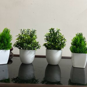 Artificial Plant