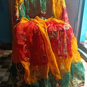 Multi Colour Saree Embroid Totally No Blouse