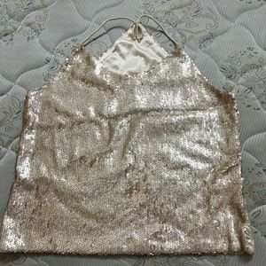 Sequin V Neck Top