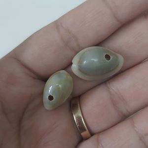 SHELLS FOR JEWELLERY MAKING